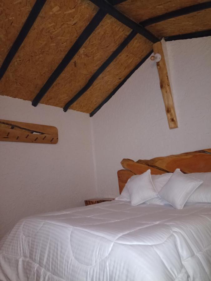 Chalet En El Pinar *